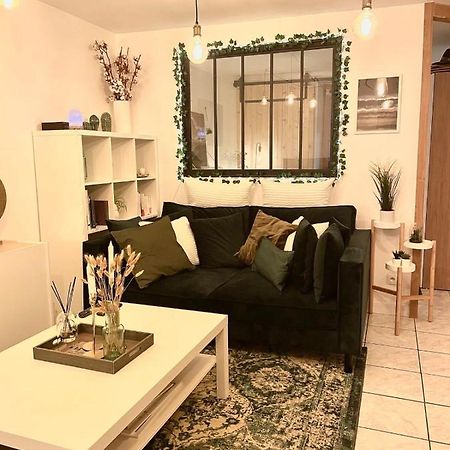 Petit Cocon Au Coeur D'Annecy Apartman Kültér fotó