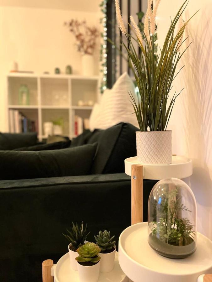 Petit Cocon Au Coeur D'Annecy Apartman Kültér fotó