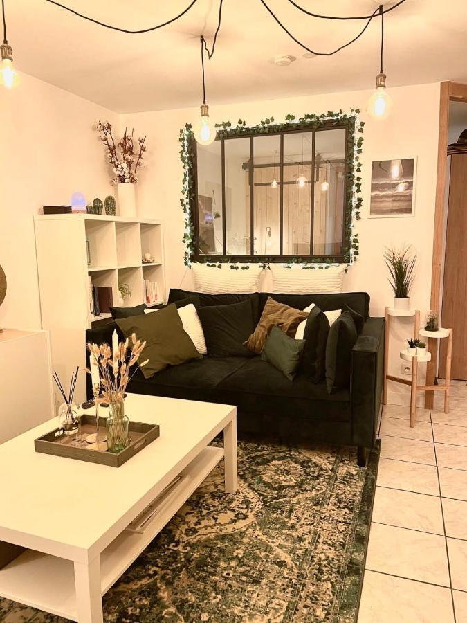 Petit Cocon Au Coeur D'Annecy Apartman Kültér fotó