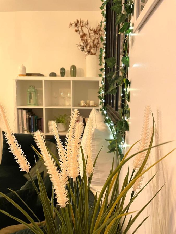 Petit Cocon Au Coeur D'Annecy Apartman Kültér fotó